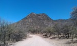 photo thumbnail #2