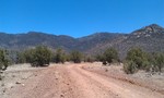 photo thumbnail #4