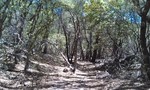photo thumbnail #8
