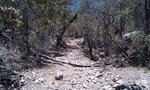 photo thumbnail #10