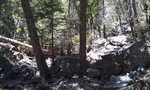 photo thumbnail #13