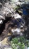 photo thumbnail #14