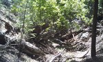 photo thumbnail #15