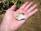 photo thumbnail #2
