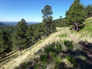 photo thumbnail #5