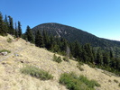 photo thumbnail #7
