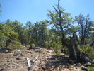 photo thumbnail #2