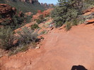 photo thumbnail #6