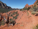 photo thumbnail #8