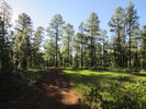 photo thumbnail #7