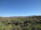 photo thumbnail #2