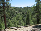 photo thumbnail #1