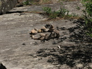 photo thumbnail #14