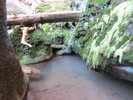 photo thumbnail #10