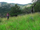 photo thumbnail #1