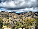 photo thumbnail #6