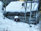 photo thumbnail #8
