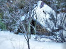 photo thumbnail #9