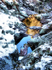photo thumbnail #10