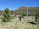 photo thumbnail #4