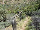photo thumbnail #5
