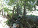 photo thumbnail #7
