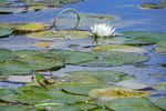 photo thumbnail #6