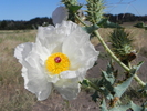 photo thumbnail #11