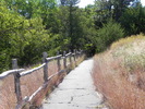 photo thumbnail #15