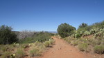 photo thumbnail #1
