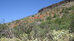 photo thumbnail #7