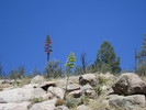 photo thumbnail #12