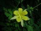 photo thumbnail #7
