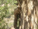 photo thumbnail #10