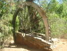 photo thumbnail #7