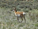 photo thumbnail #2