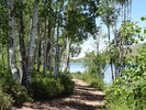photo thumbnail #2