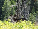 photo thumbnail #14