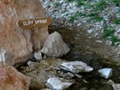 Featured Detail Photo