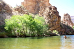 photo thumbnail #9