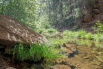 photo thumbnail #3