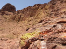 2012-06-11 :1: Signal Mountain :: Outlander