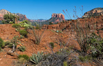 2012-05-26 :1: Cathedral Rock Trail #170 - Sedona :: tibber