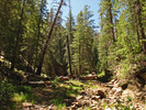 photo thumbnail #14