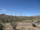 photo thumbnail #10