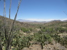 photo thumbnail #12