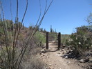 photo thumbnail #9