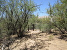 photo thumbnail #11