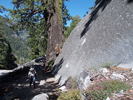 photo thumbnail #8