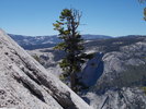 photo thumbnail #14